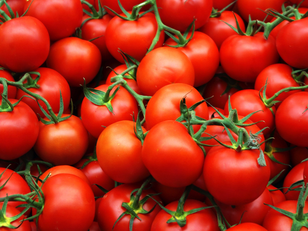 Tomates