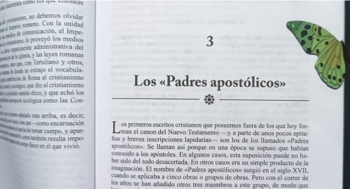 Separador de mariposa en libro