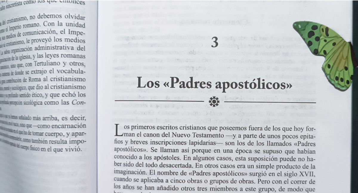 Separador de mariposa en libro