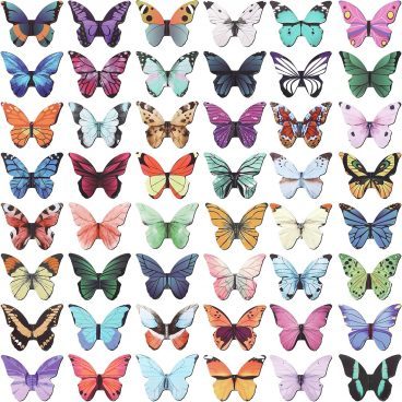 Separadores de mariposas